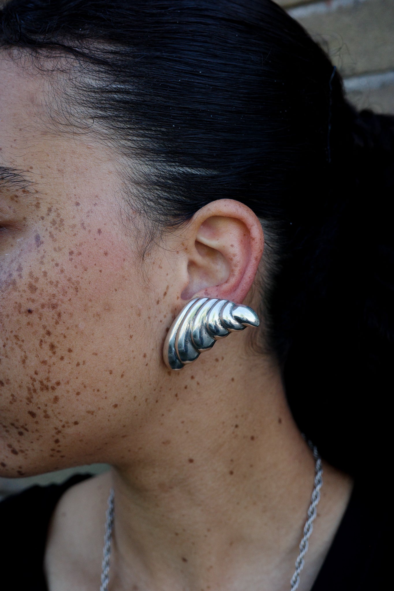 Mexican wing earrings