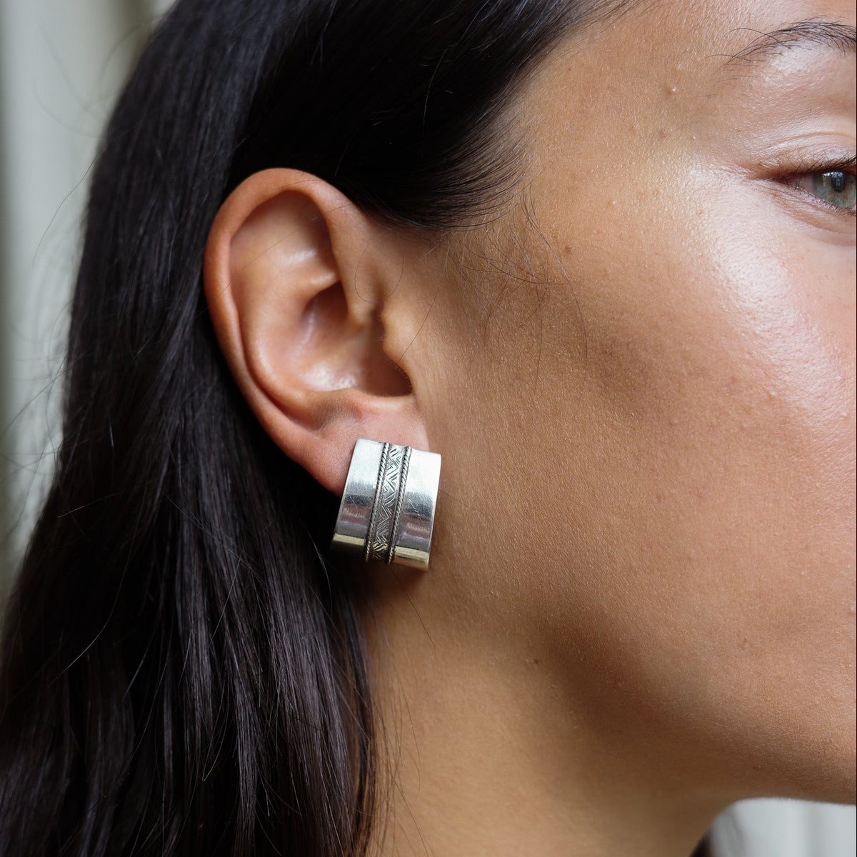 Curved pannel earrings