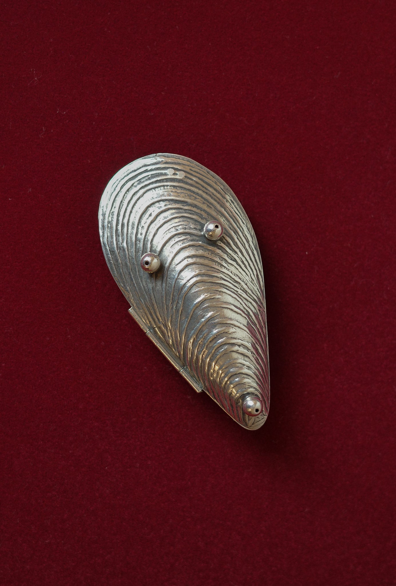 Italian sterling mussel box