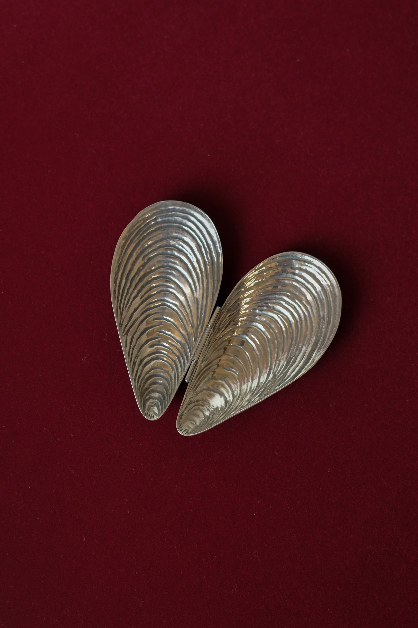 Italian sterling mussel box