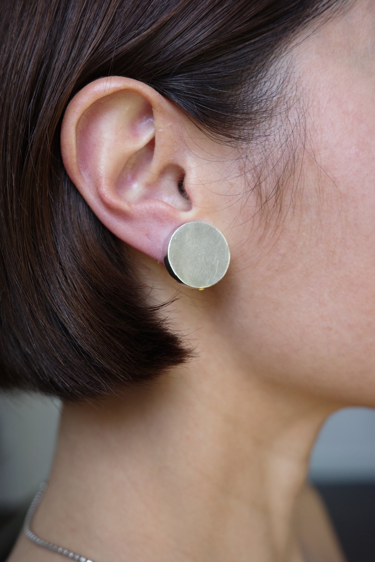Solid Disc Clip-Ons