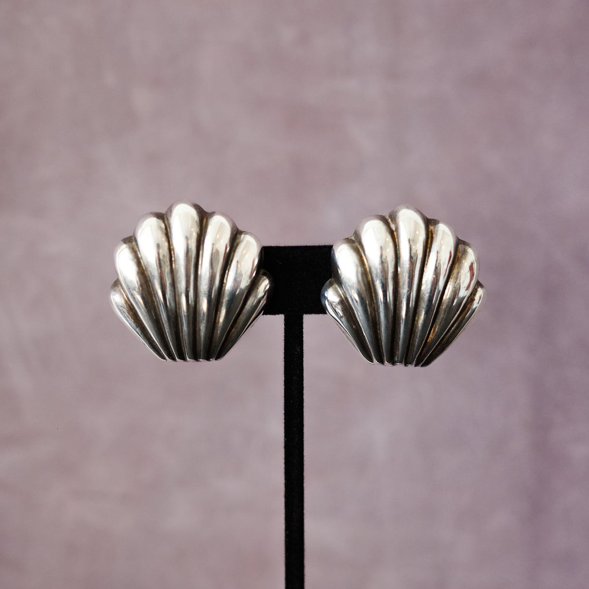 Conchas clip-ons