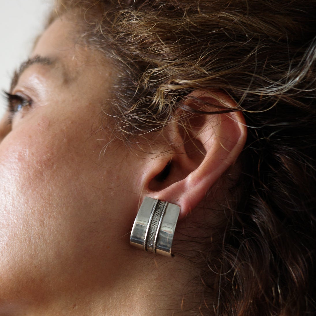 Curved pannel earrings